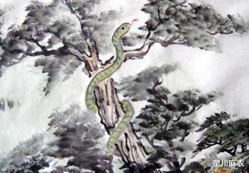 农历七月出生属蛇，属蛇七月出生是什么命