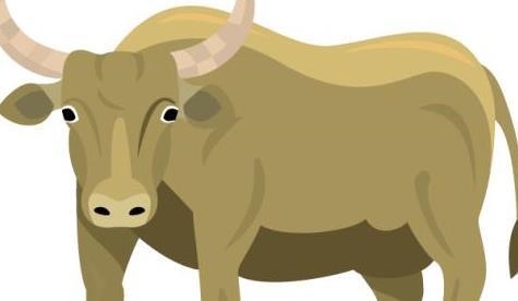 022年属牛人运势，1985属牛37岁运气"