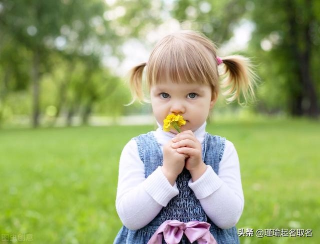 女孩聪明睿智涵养的名字，女子名字有才气