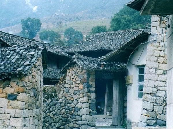 999年兔今年命运如何,99年运势及运程每月运程"