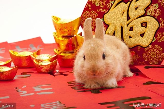 属兔命中的贵人，1987属兔的贵人是谁