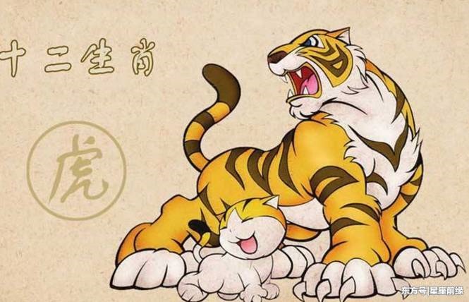 属蛇与属虎的人合不合，生肖蛇和虎做朋友合不合