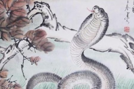 965年属蛇今日运势，属蛇今日运势最准"