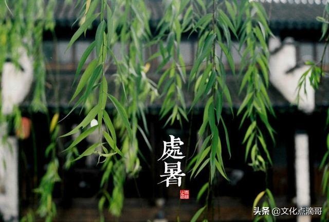 立冬是属什么生肖，立冬是冬至吗