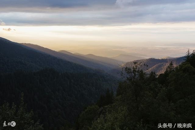 公鸡是辟邪的吗,公鸡为什么能辟邪