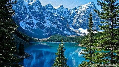 正月蛇男的命运怎么样，2022 年属蛇人的全年运势