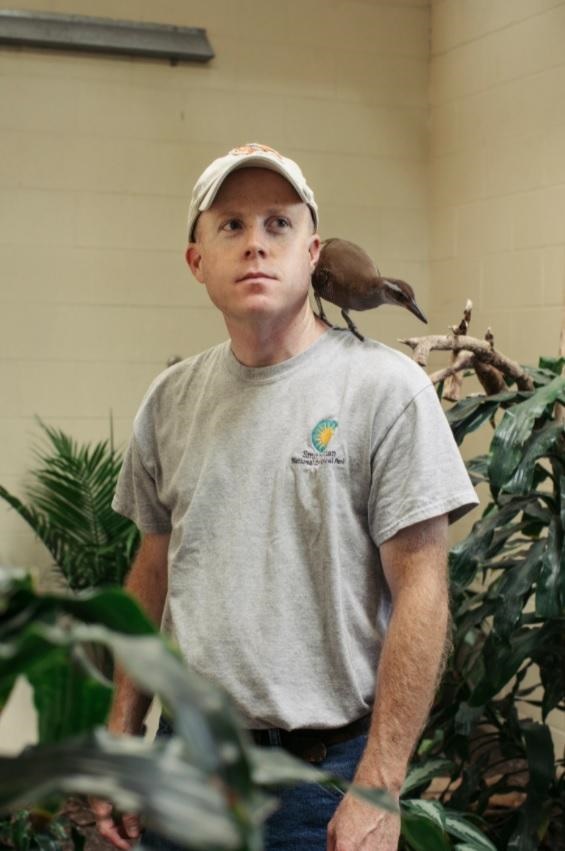 虎和蛇做夫妻好不好，男属虎女属蛇婚配情况