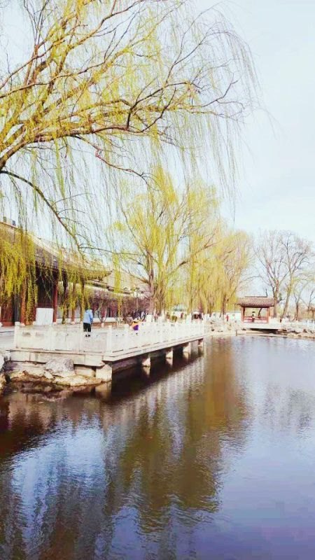 虚岁85属什么，属鼠85岁那年出生