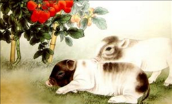 3年农历十一月的猪好不好，1983年属猪十一月生交运月"