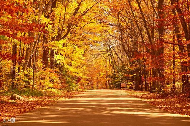 属蛇女佩戴什么吉祥物,属蛇的戴什么手链招财