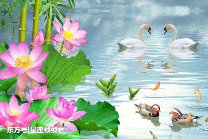 不离不弃开过什么生肖，不离不弃和风吹动是什么生肖