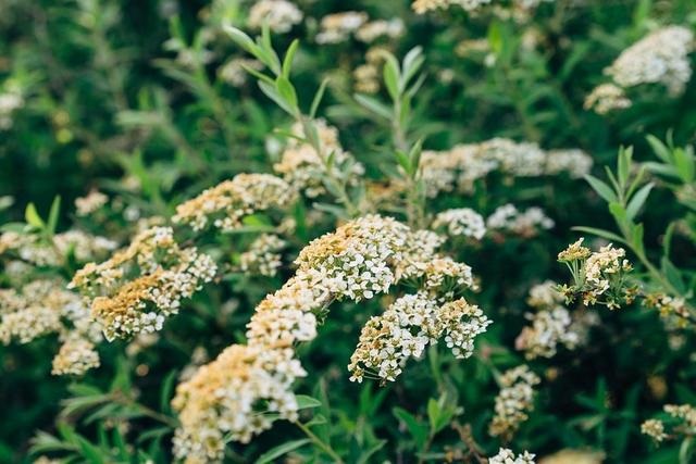 3年女2022年运势怎么样，81属鸡人的灾难年龄39岁"