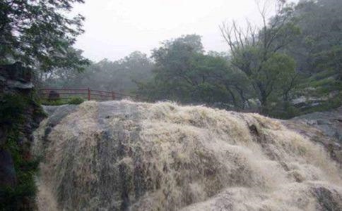 打麻将的人梦见蛇的财运好不好，梦见自己打麻将赢钱