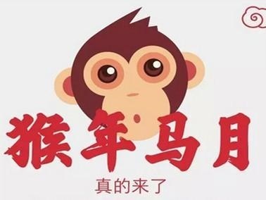 004年属猴男更佳婚配,2004年属猴2022