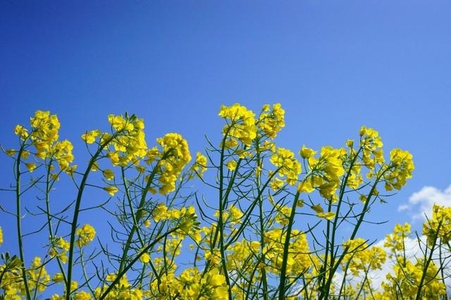 属蛇人的姻缘何时来，2022 年属蛇男桃花运