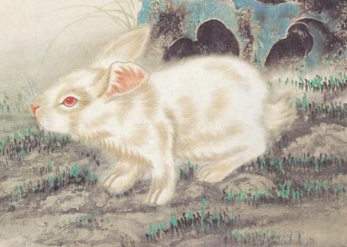 7年属兔未来五年运势，75兔2022