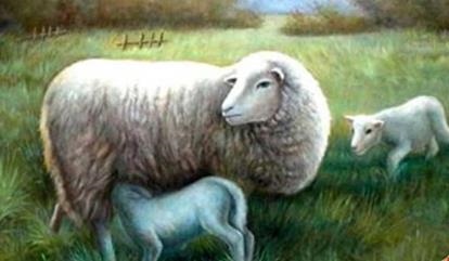 属鸡男与属羊女婚后，91年男93年女婚配程度