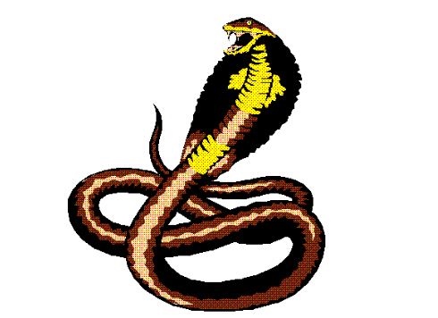 属蛇的有多少岁了,属蛇的年份有哪几年