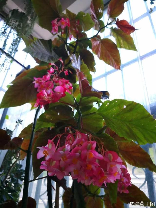 属蛇人家中适合挂哪些画，属蛇的人卧室挂什么画适合