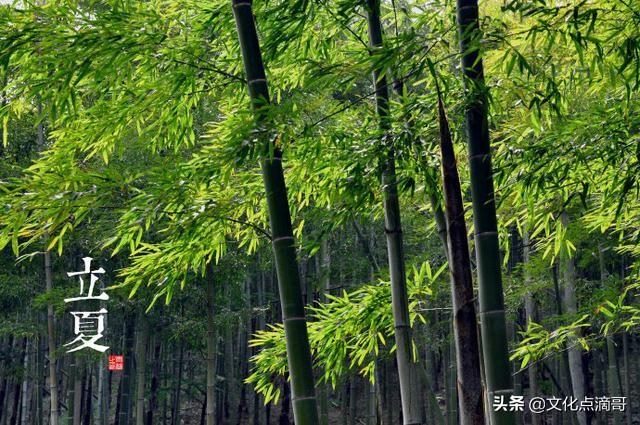 立冬是属什么生肖，立冬是冬至吗