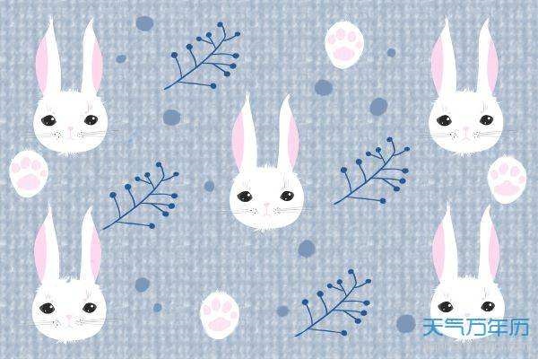 黄历属兔今日运势查询，生肖属兔今日运势查询