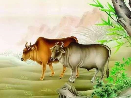 属虎人一生佩戴什么好图片，属虎人一生的吉祥物