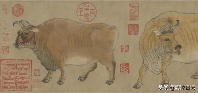 每日显示生肖的日历，电脑桌面日历