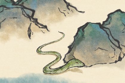 属蛇44岁要注意什么，属蛇44岁过后的命运男