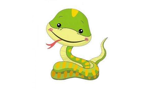 属蛇与什么生肖不合，现在的人知道属相不和吗