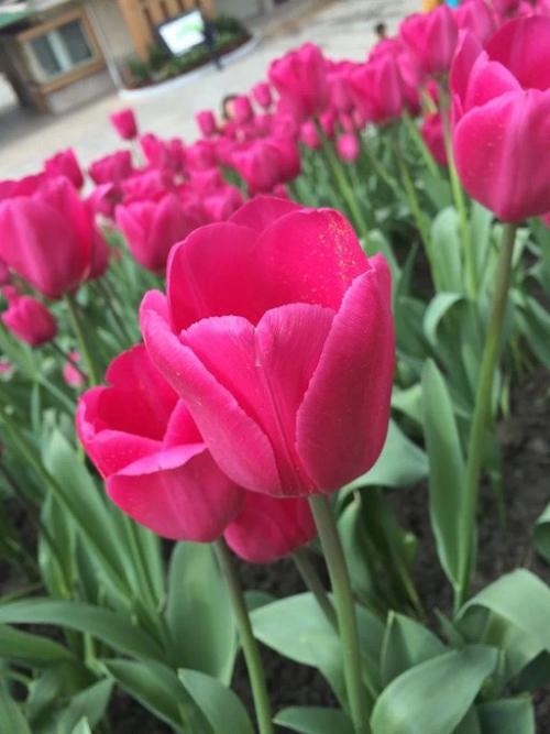 022马的下半年运势，2022年属马人每月之详解"