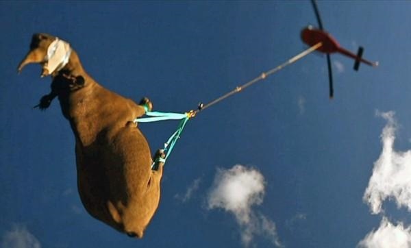 属蛇的人更大的弱点，属蛇最命苦的时辰