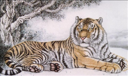 女属虎的更佳配偶属相，属虎2022 年运势及运程