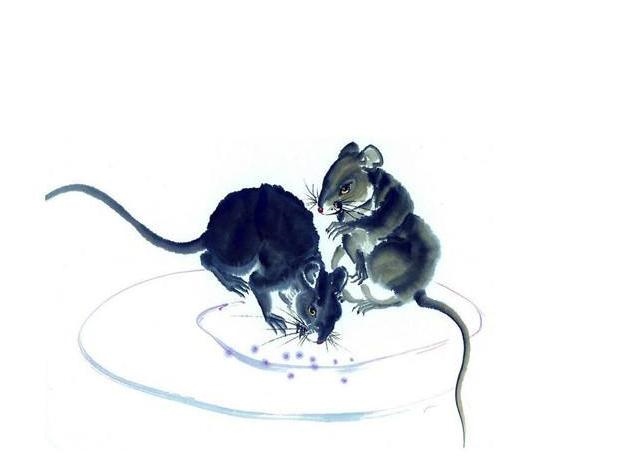 生肖鼠一生的贵人是谁,72年生肖鼠50岁后命运