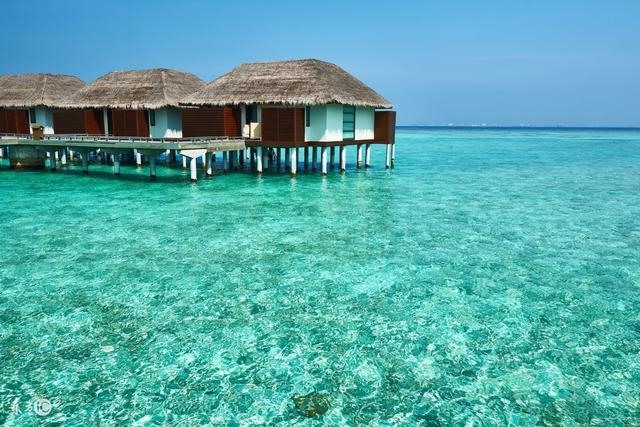 属兔人几日出生大富大贵，生肖兔女最怕出生几月