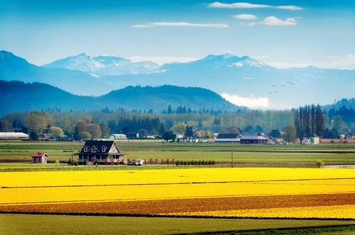 属蛇农历九月初九初十运势，农历9月出生属蛇人命好