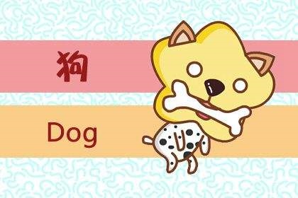 属鼠人2022年运势及运程,96年属鼠2022年全年运势