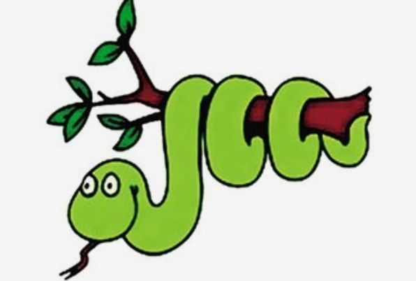 7年属蛇的终身寿命很短暂吗，1977属蛇一生大劫年"