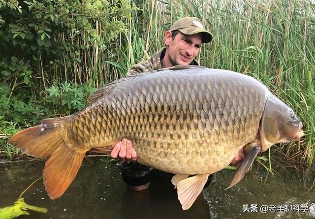 虎和龙在一起对谁不利，属虎和属龙的夫妻结局