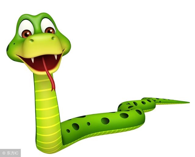 蛇在十二生肖里是最厉害的吗，实力强的可怕的生肖女