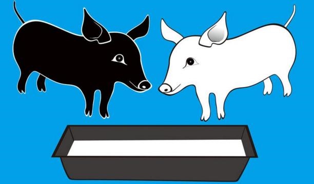 属猪人今年的感情问题，1971年属猪2022 年感情问题