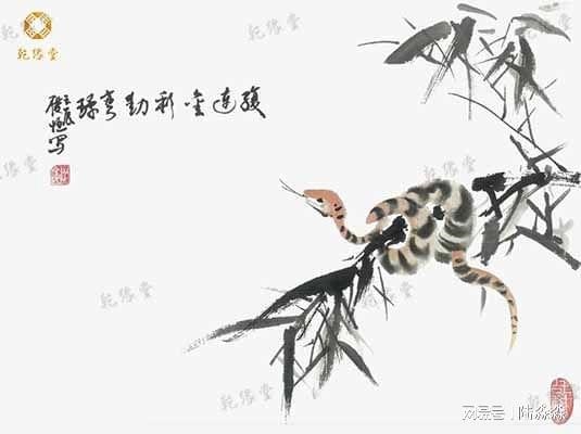 属蛇的人2022年运势怎么样，2022年所有属蛇的人都不好吗