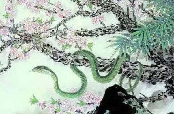 属蛇哪一年最苦，属蛇人32岁大劫女