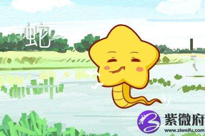 属蛇的女人配什么生肖更好，属蛇女跟什么生肖结婚比较好