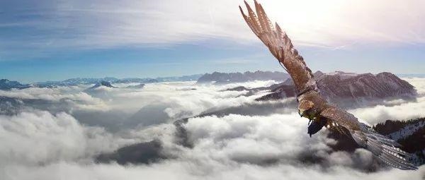 十月出生的蛇命运如何，十月的蛇是什么命