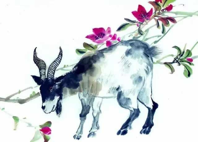 属虎人一生佩戴什么好图片，属虎人一生的吉祥物