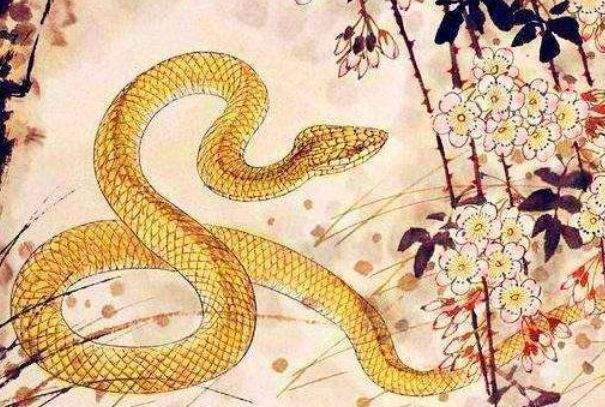 属蛇的人12月份运势,属蛇的2022 年12月