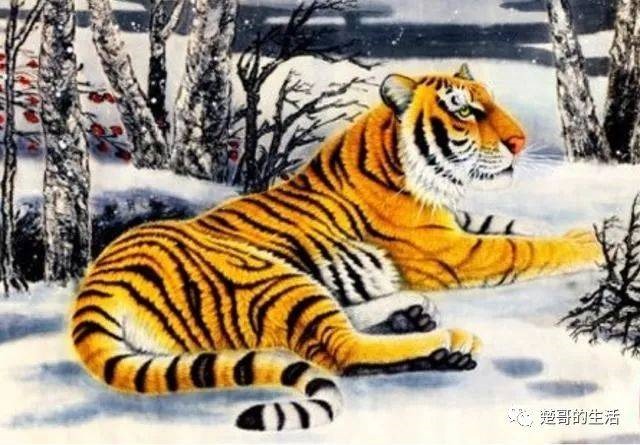 属虎的是几年出生的，属虎的今年多大2022 年