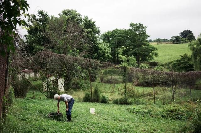 虎和蛇做夫妻好不好，男属虎女属蛇婚配情况
