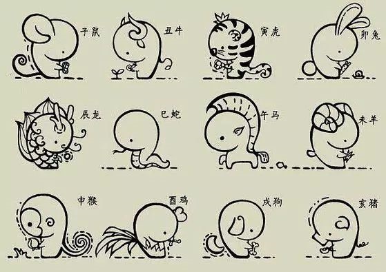 十二生肖的排列顺序表，十二生肖顺序排列故事