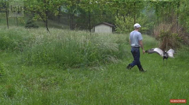 虎和蛇做夫妻好不好，男属虎女属蛇婚配情况